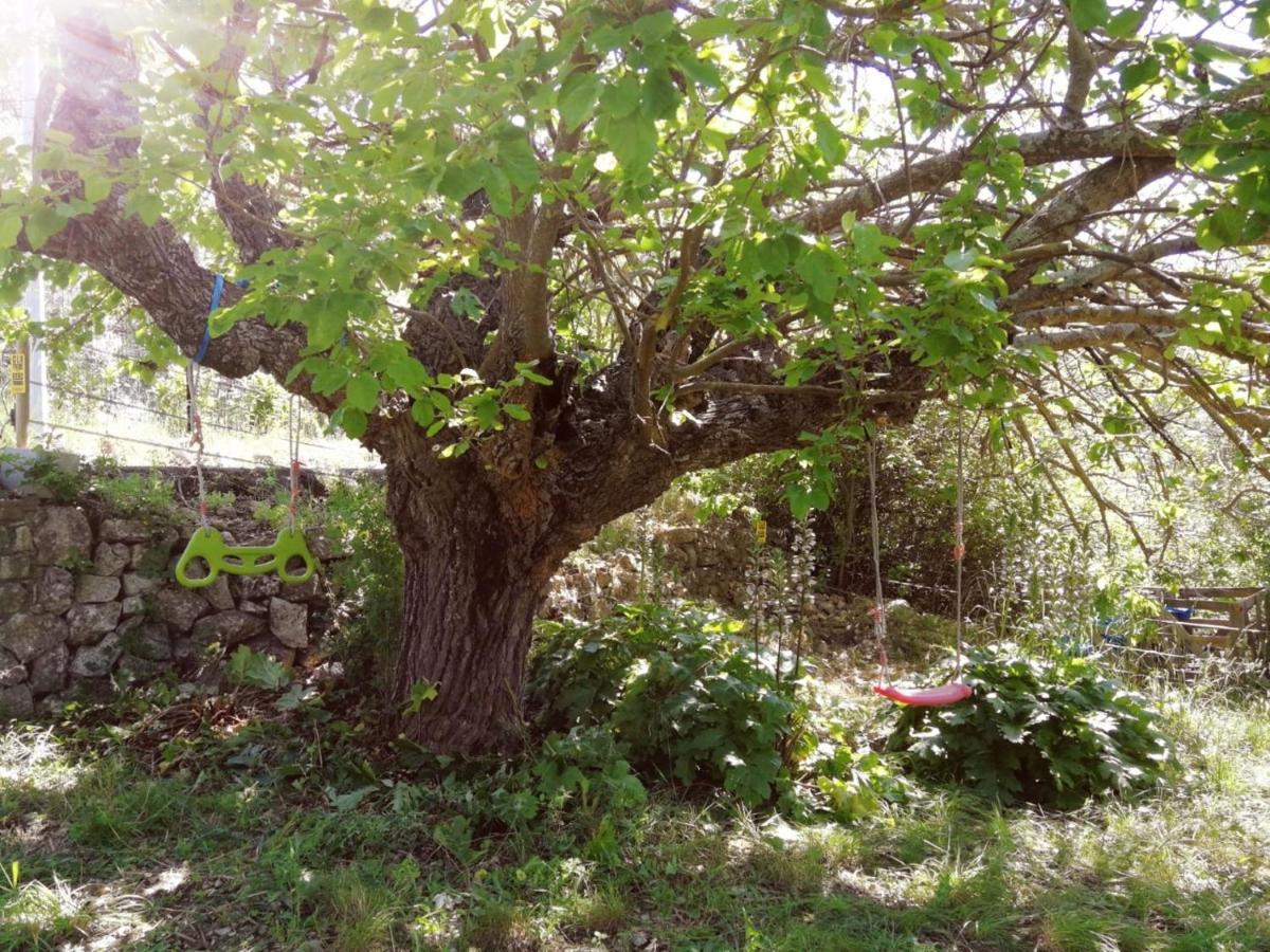 Bastide Provencale Les Muriers D'Engaspaty سيلانس المظهر الخارجي الصورة